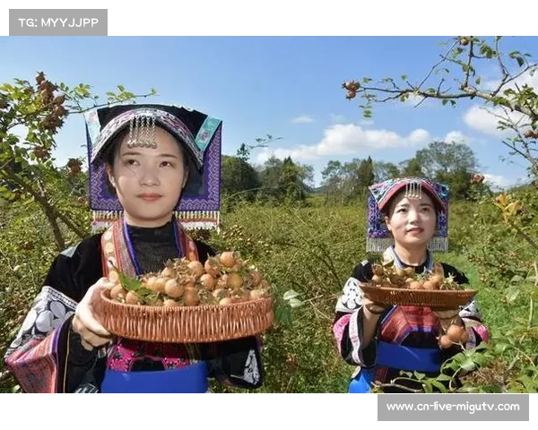 浙江赛事推动农产品订单增长 刺梨饮品销量同比激增200% 浙江赛事推动农产品订单增长 刺梨饮品销量同比激增200%